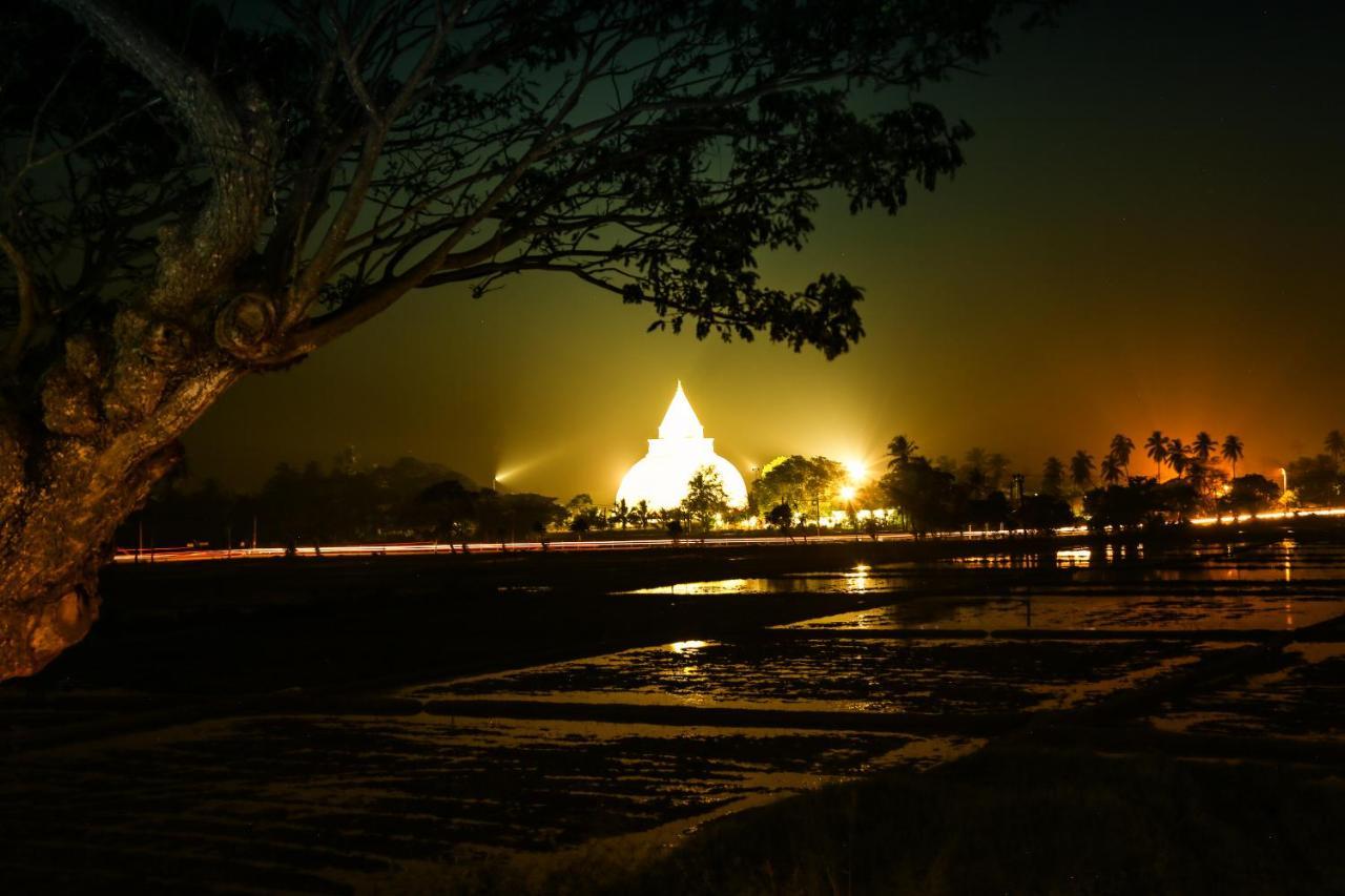 Oak Ray Wild Yala Hotel Tissamaharama Bagian luar foto