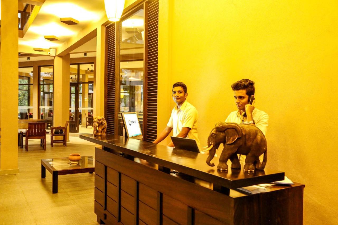 Oak Ray Wild Yala Hotel Tissamaharama Bagian luar foto